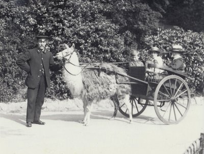 Drei Besucher, darunter ein kleiner Junge, in einem von einem Lama gezogenen Wagen im Londoner Zoo, Mai 1914 von Frederick William Bond